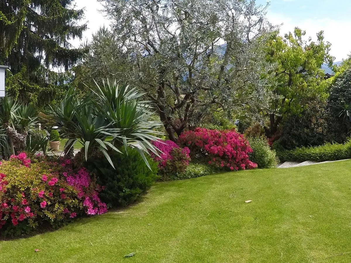 Abies Lago Di Como 东戈 0*,  意大利