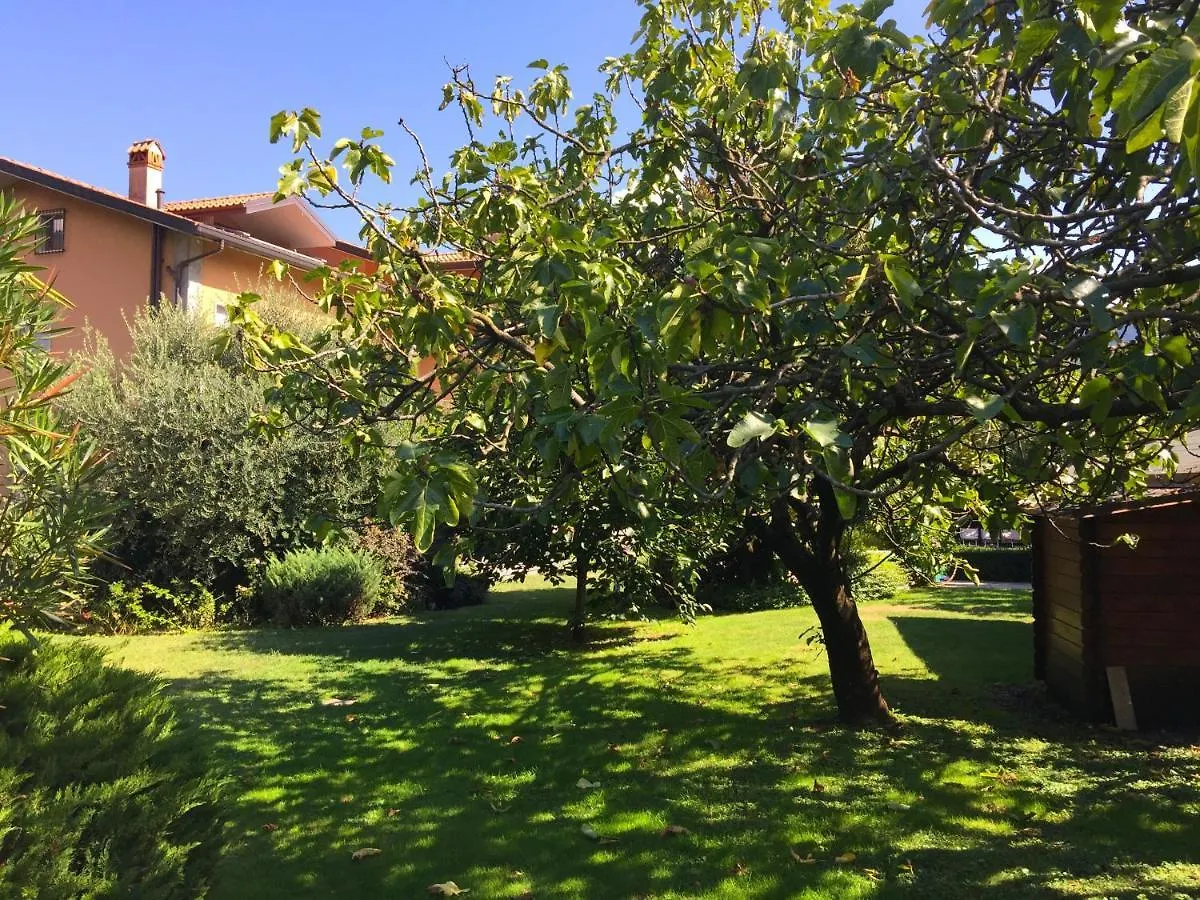 Abies Lago Di Como Dongo Italia