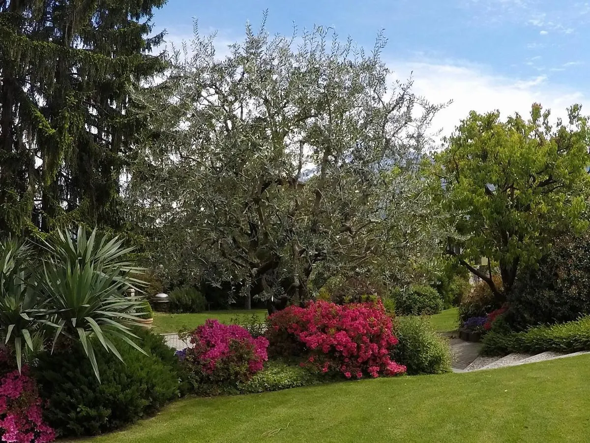 Abies Lago Di Como Dongo